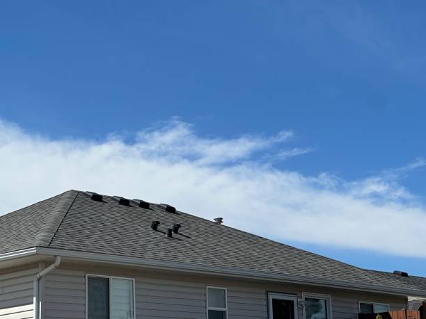 Best Roof Ventilation Installation  in Milpitas, CA